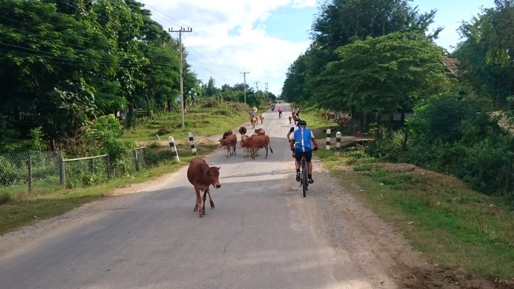 Cycling Laos - NamNeun to MuangKham