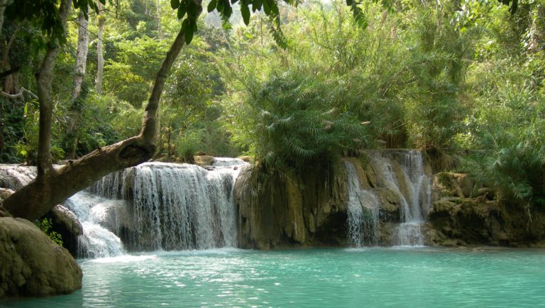 KuangSi waterfalls in Luangprabang Laos